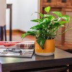 Prada House_Messa a reddito_Infinity Real Estate (4)