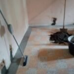 IMG-20240828-WA0097
