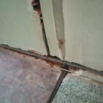IMG-20240828-WA0099
